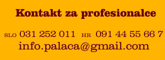 spletna-trgovina-325x120-pxl-1005-kontakt-profesionalci.jpg